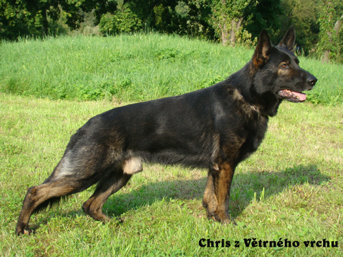 Chris z Větrného vrchu