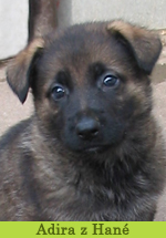 adira
