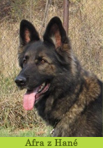 afra