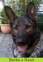 barka