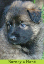 barney