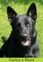 carlos
