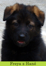 freya