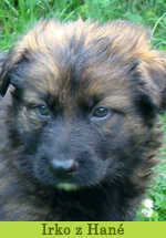 irko