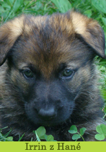 irrin