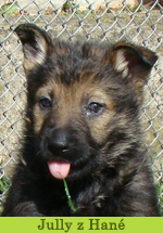 jully