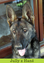 jully