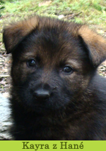 Kayra z Hané