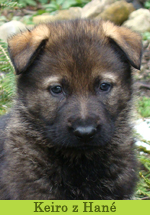Keiro z Hané
