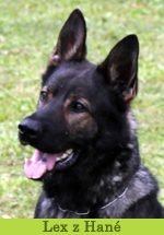 lex