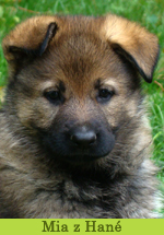 Mia z Hané