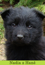 Nadia z Hané