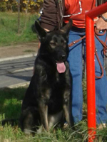 freya