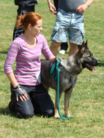 Herra z Hané