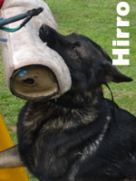 Hirro z Hané