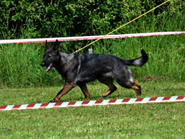 Kayra