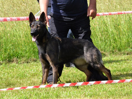 Kayra