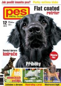 pes pritel cloveka