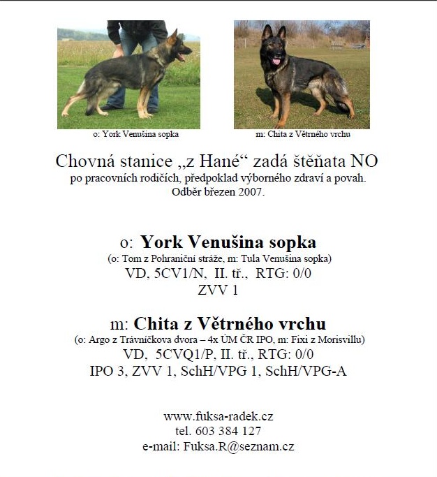 York Venušina sopka