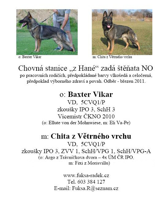 Baxter Vikar