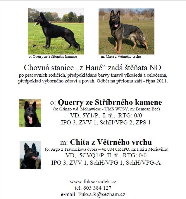 Querry ze Stříbrného kamene