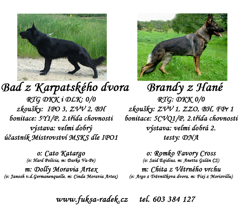 Brandy z Hané