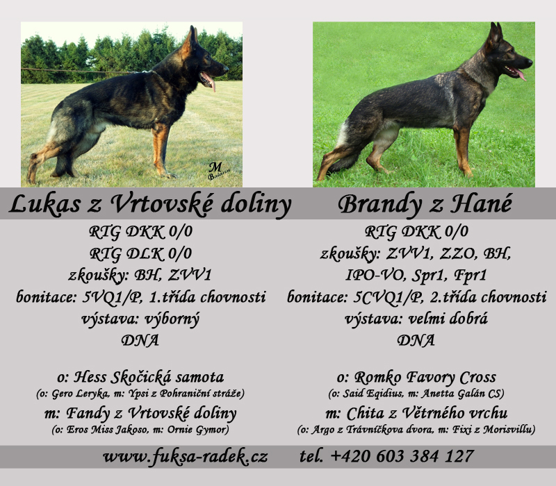Brandy z Hané