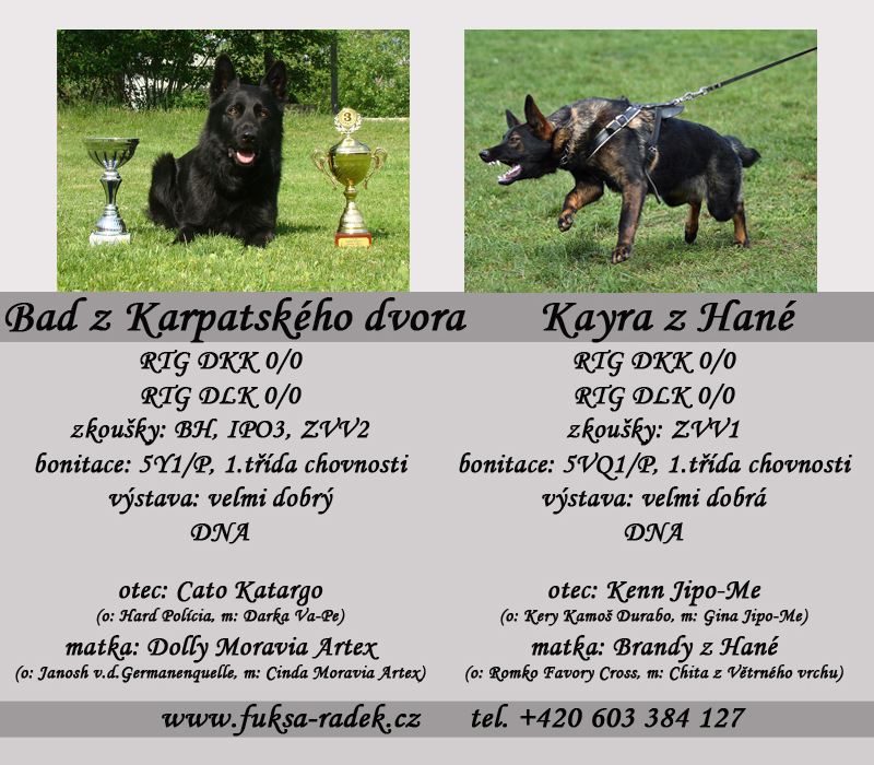 Kayra z Hané