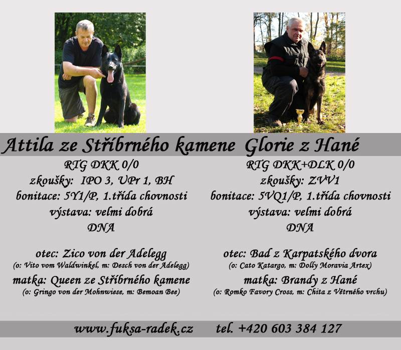 Glorie z Hané