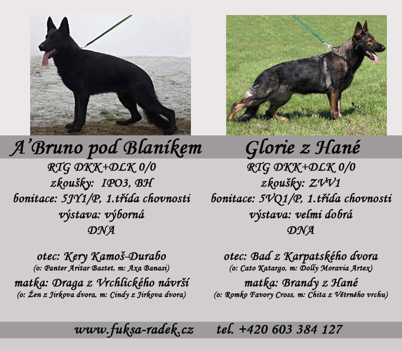 Glorie z Hané
