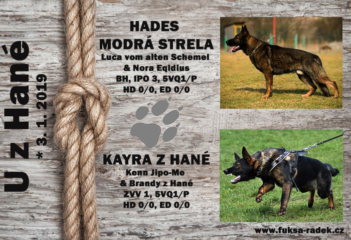 Kayra z Hané