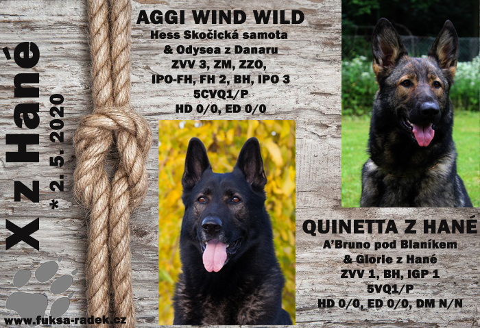 Quinetta z Hané