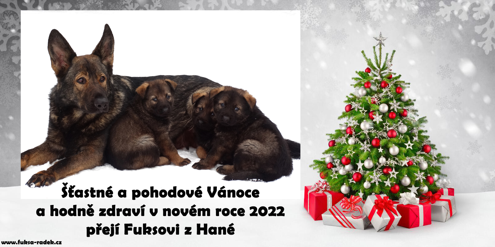 PF 2022