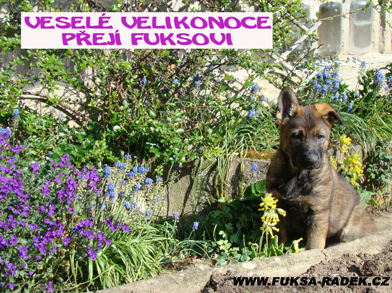 velikonoce