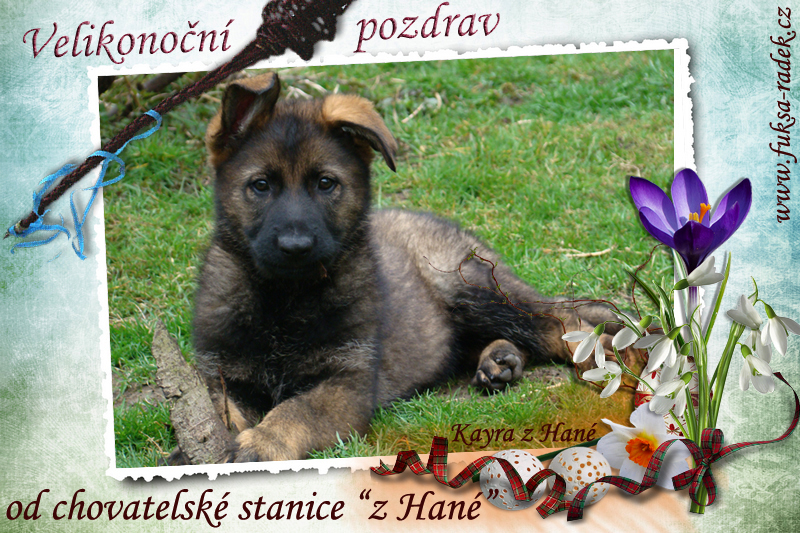 velikonoce