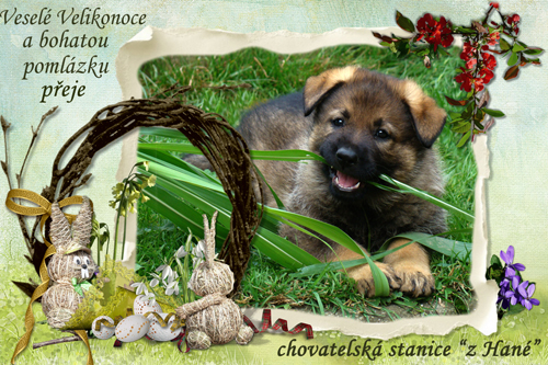 Velikonoce 2017