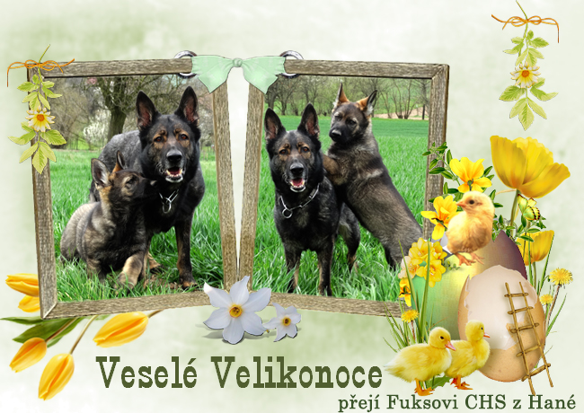 Velikonoce 2019